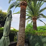 - La Isla